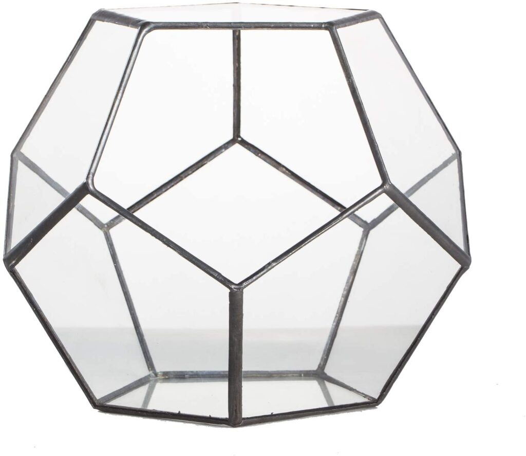 Start your own Terrarium - Black Glass Geometric Terrarium Container