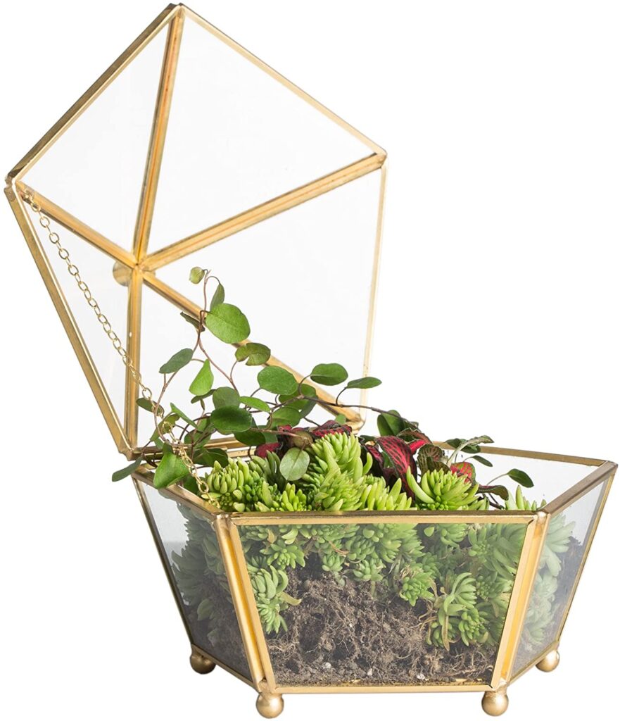 Geometric Terrarium Window Box