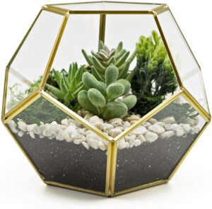 Moctus Glass Gemoetric Terrarium