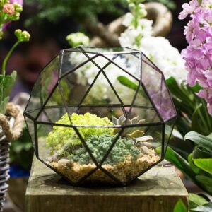 Geometric Dome Terrarium 4