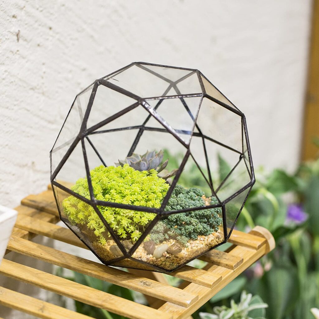 Geometric Dome Terrarium 3