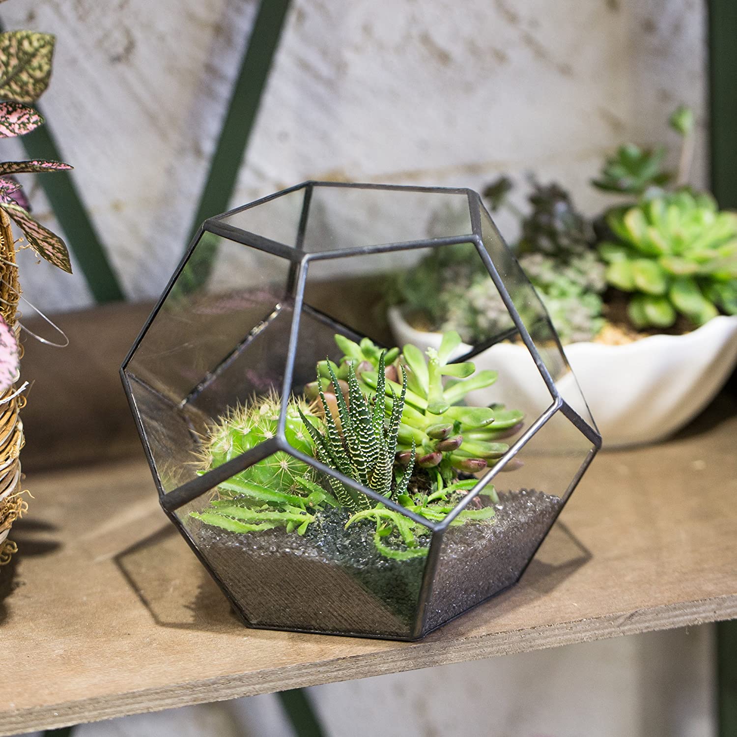 geometric terrarium kmart