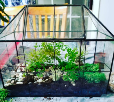 DIY Terrarium Garden - House Shaped Terrarium Container and Planter 2