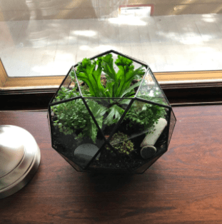 Geometric Dome Terrarium 2