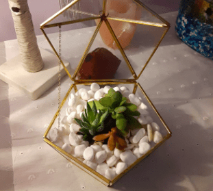 Geometric Terrarium Window Box