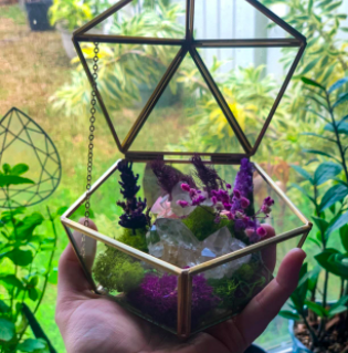 Geometric Terrarium Window Box