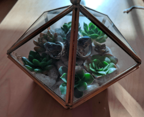 Geometric Terrarium Window Box