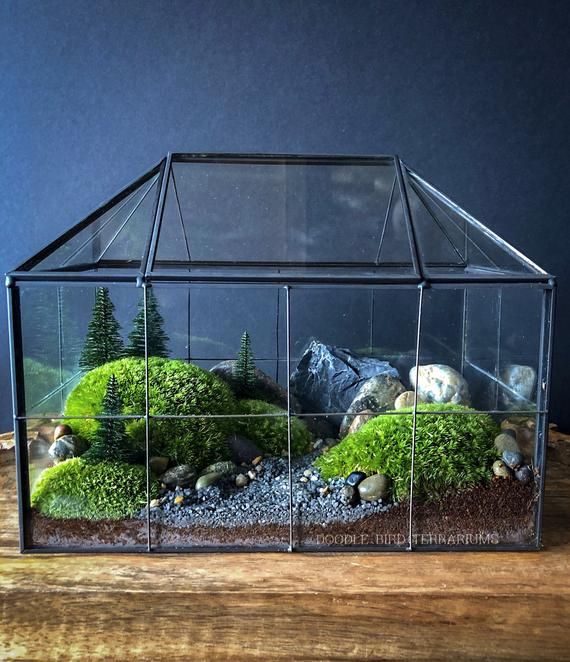 Geometric House Shaped Terrarium Container