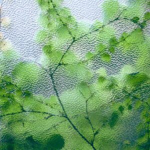 green plant on uneven glass surface