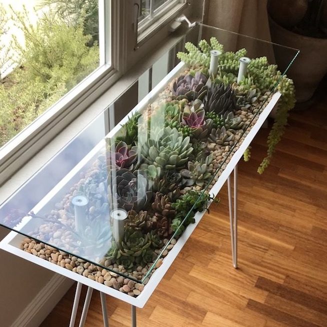 Here's How to Make Your Own Terrarium Coffee Table — DIY Terrarium Coffee  Table Guide