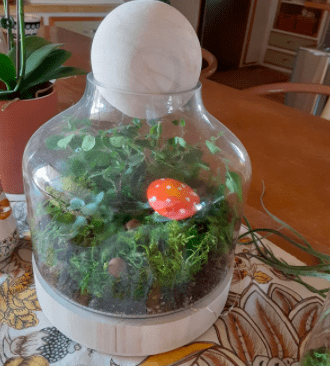 Glass Terrarium Container With Wooden Sphere Lid