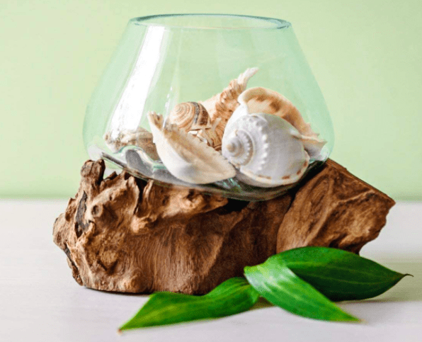 Hand Blown Molten Glass & Teak Wood Terrarium