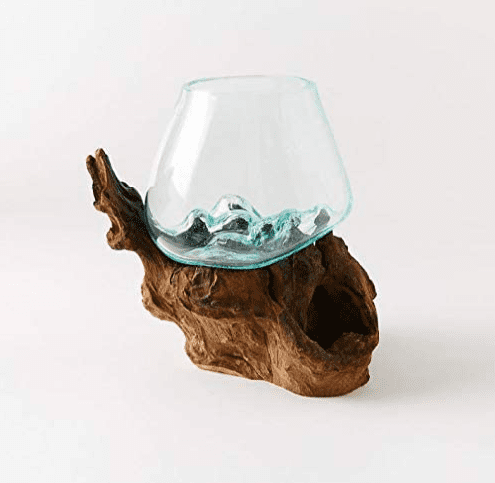 Hand Blown Molten Glass & Teak Wood Terrarium 3