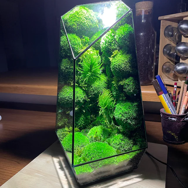 Vertex ZERO Pure Moss Wall Terrarium - Terrarium Creations