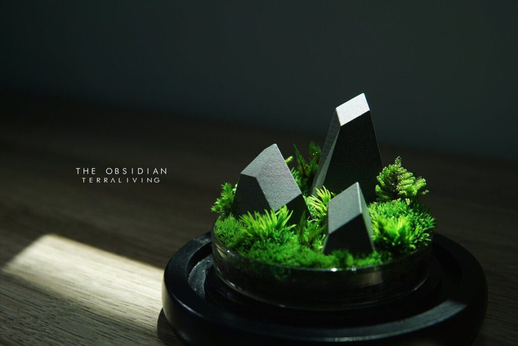 The Obsidian - A botanical collection by TerraLiving