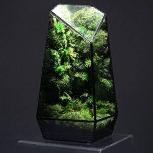Terrarium Inspiration