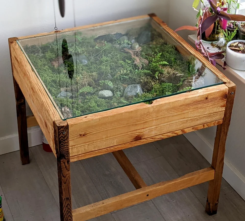 DIY Terrarium Moss Garden Coffee Table: Building a terrarium