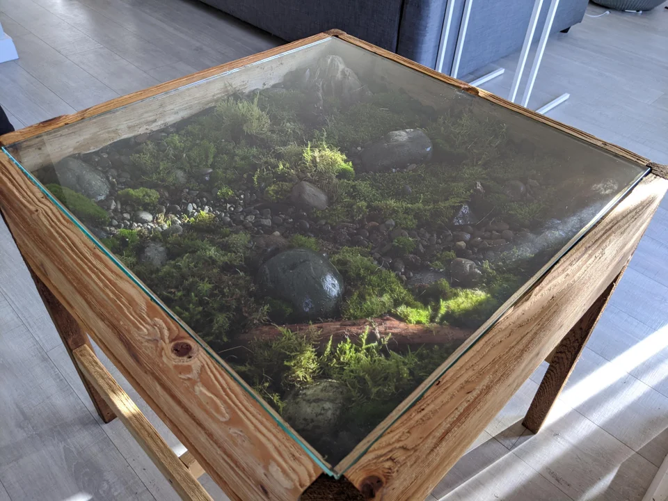 Terrarium Moss Garden Coffee Table: Building a terrarium coffee table - Terrarium Creations