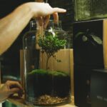 person holding a stainless tongs fixing a plant in a glass jar