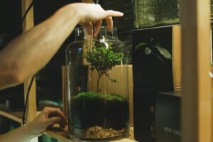 person holding a stainless tongs fixing a plant in a glass jar