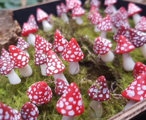 Tiny and Adorable Crystal Mushrooms for Terrariums & Fairy Gardens
