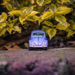 selective focus photography of purple volkswagen beetle near green leaves