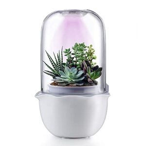 Smart Succulent Grow Dome and Terrarium