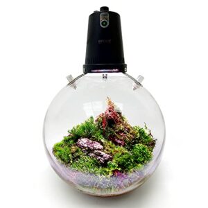 OPCOM Large Microgreens Glass Terrarium Globe