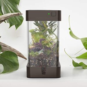OrchidBox Mini Smart LED Terrarium Orchid Box