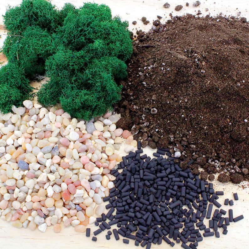 DIY Terrarium Essentials Kit – Soil, Charcoal, Pebbles & Moss – Basic Potting Supplies for Succulent, Cactus, Small Live Plant