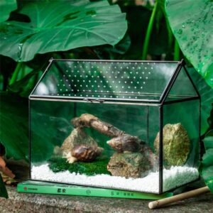 NCYP Large Handmade  Geometric Glass Close Terrarium Box House Shape, Swing Lid Latch for Air Plants Moss Snail Reptile Habitat Vivarium