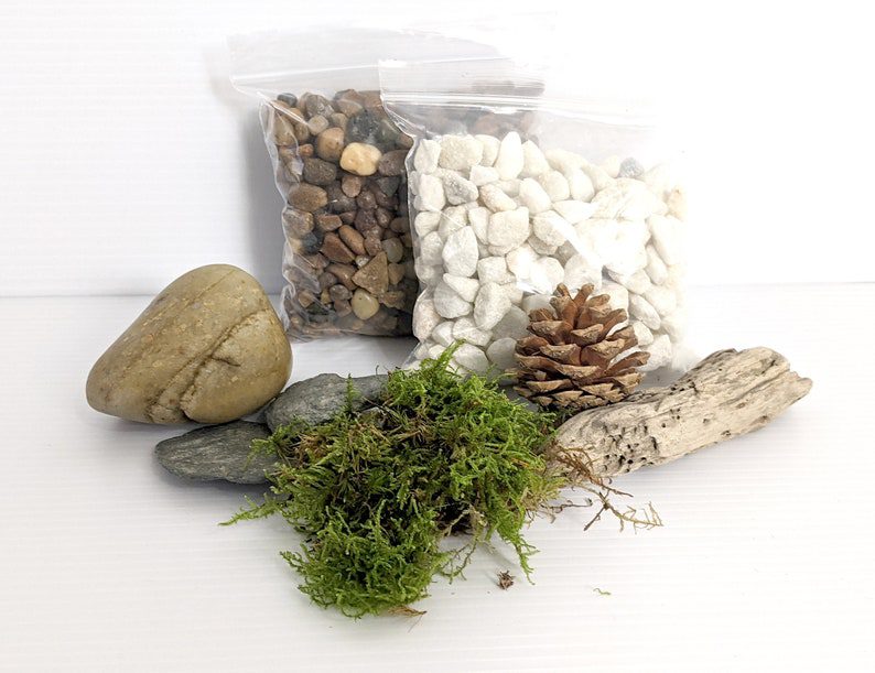 Closed Terrarium Decorative Kit • Terrarium Decorations • Pebbles, Pinecones, Moss…