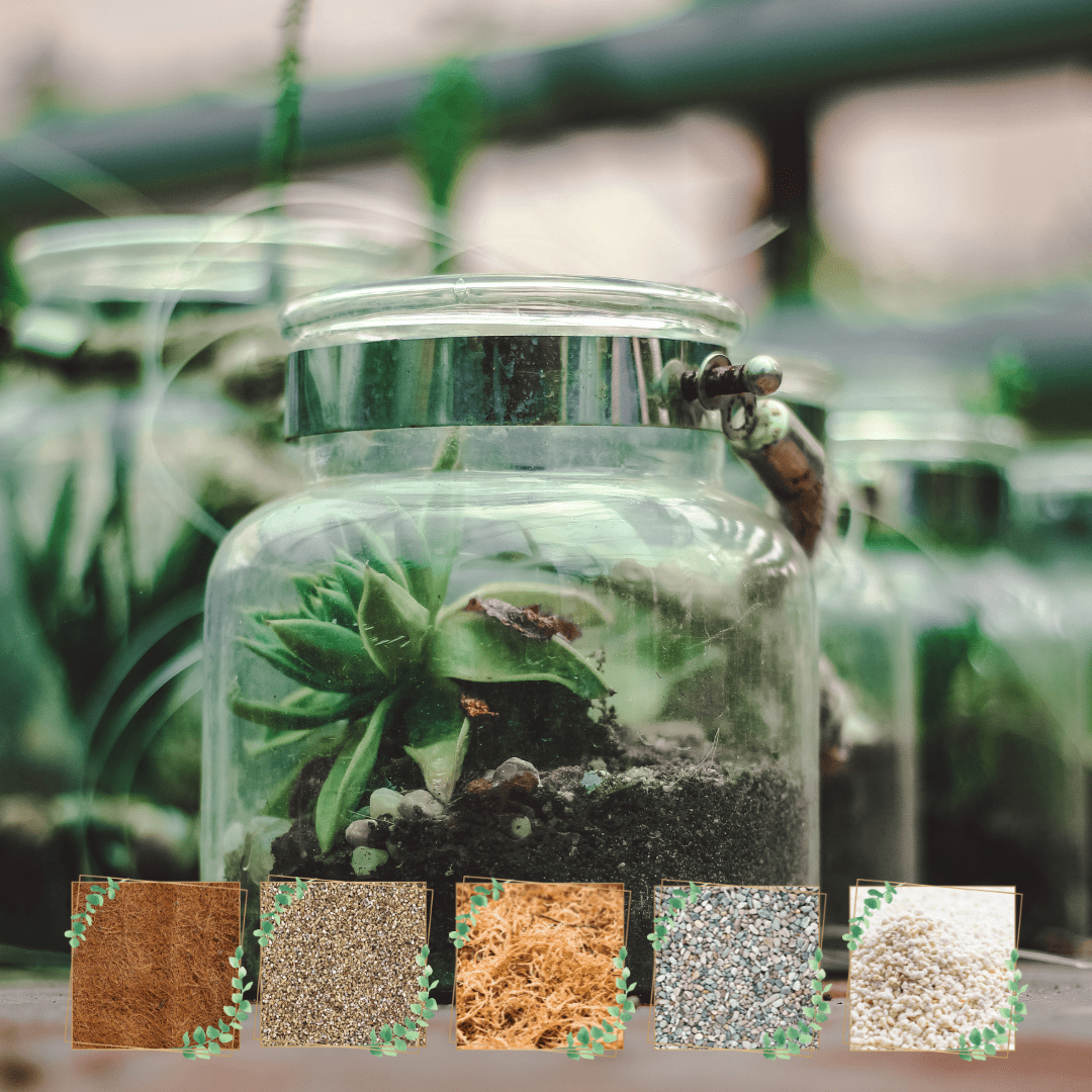 The Best Drainage Layer Materials for Terrariums Terrarium Creations