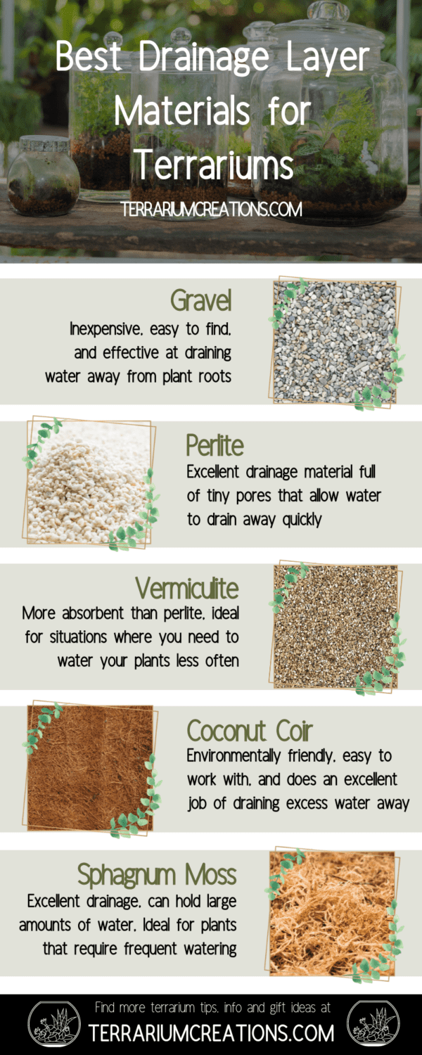 The Best Drainage Layer Materials for Terrariums Terrarium Creations