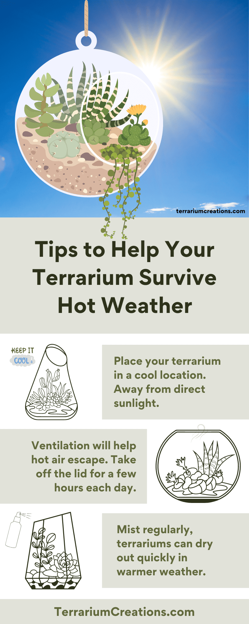 How To Ensure Your Terrarium Survives Hot Weather Terrarium