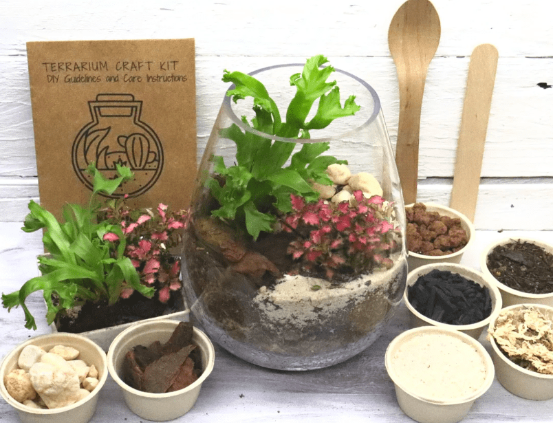 Here's How to Make Your Own Terrarium Coffee Table — DIY Terrarium