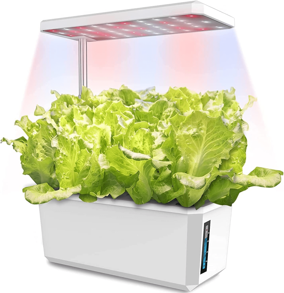 PIGGY PIGGY'S Hydroponic Growing System