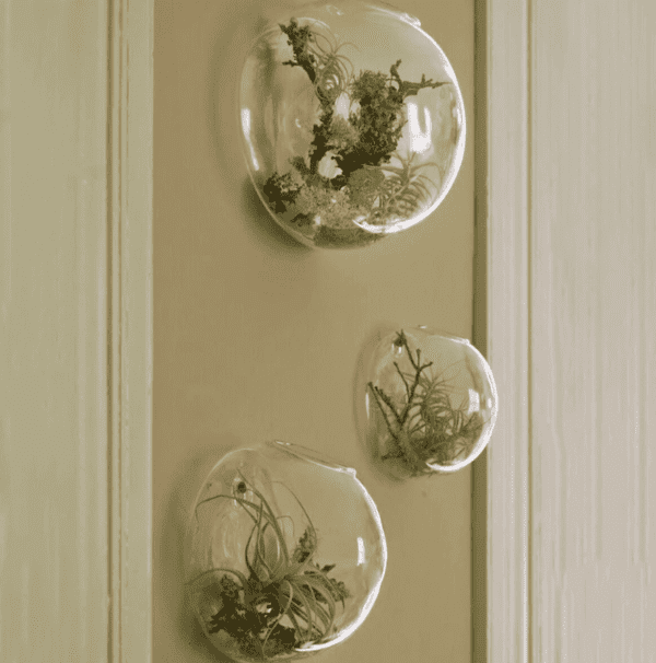 Wall Mounted Terrariums and Planters to Bring Nature Indoors