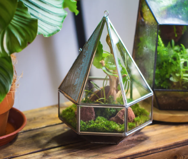 Handmade Miniature Tiny Terrarium Cage Terrarium Creations