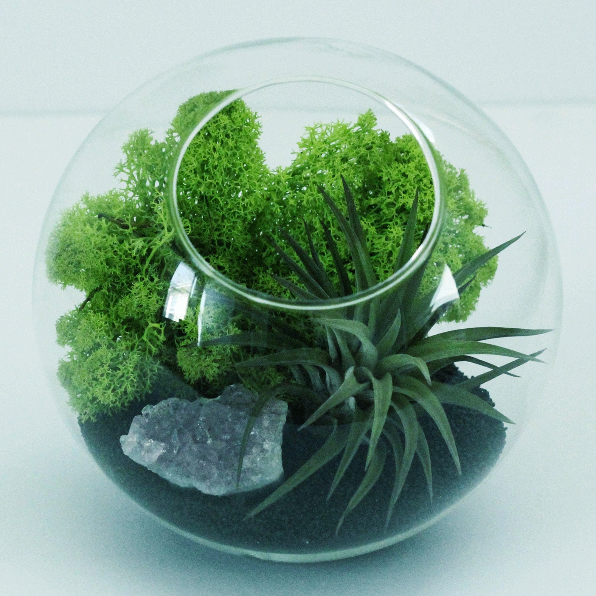 TerraLiving: Malaysian Startup Designing Artistic Moss Terrariums