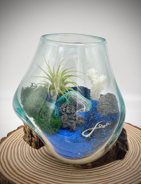 Air Plant Beach Terrarium/Blown Glass Volcanic Island 6x6"/ All Occasion Gift