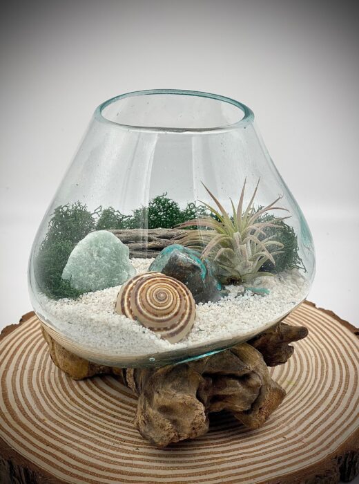Air Plant Terrarium, Hand Blown Glass Diy Terrarium Kit, Green Calcite Natural Stone With Seashell, Desktop Centerpiece, Nature Decor
