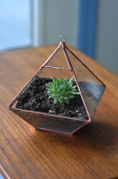 Air Terrarium Kit, Pyramid Top Glass Terrarium For Hanging Or To Sit Copper Silver Color Supplies Eco Friendly