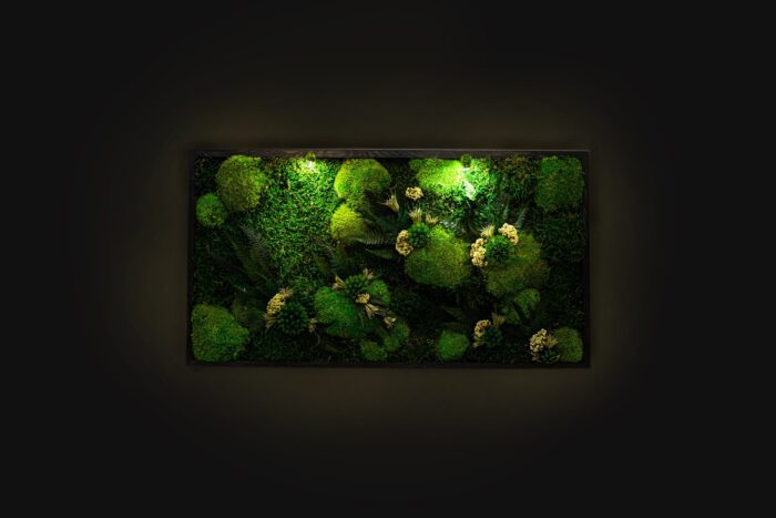 Beautiful Preserved Moss Artwork With Led Lights Live Wall Art Lighted Framed Eco-Friendly Home Decor