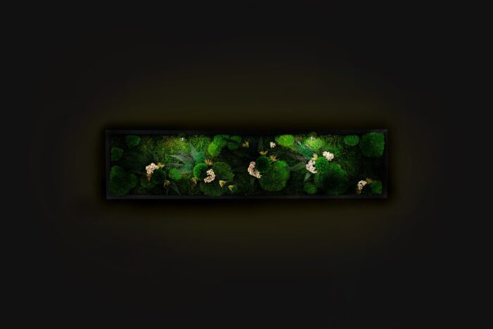 Beautiful Preserved Moss Artwork's With Led Lights Live Wall Art Lighted Home Decor Valentine's Day