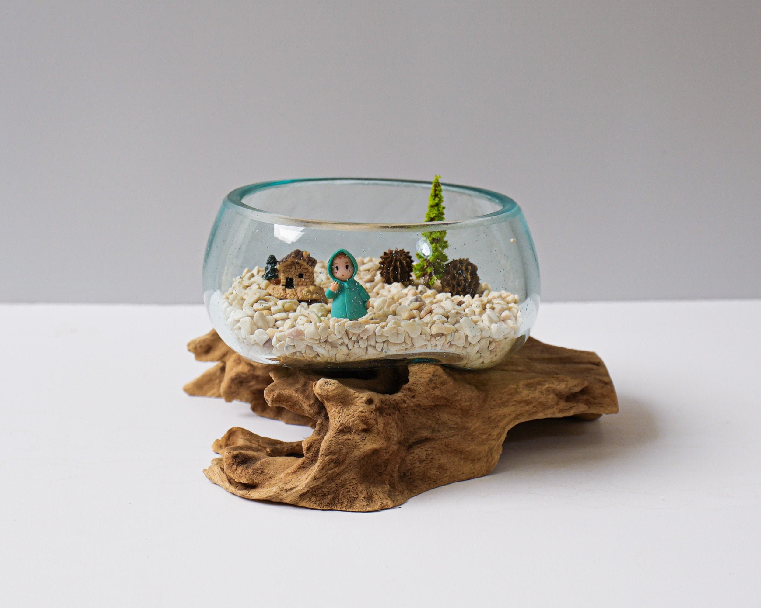 Wood & Recycled Glass Terrariums