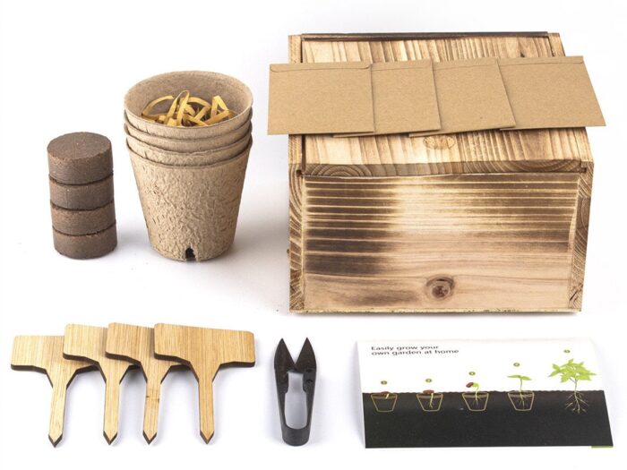 Bonsai Starter Kit, Tree 4 Types Seeds With Wooden Box, Plant Markers, Potting Soil, Pots, Scissor Tool