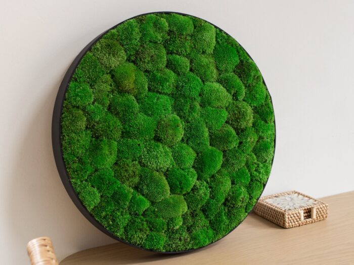 Christmas Sale | Moss Circle 45cm Wall Art 100% Real, Naturally Preserved No Maintenance Required