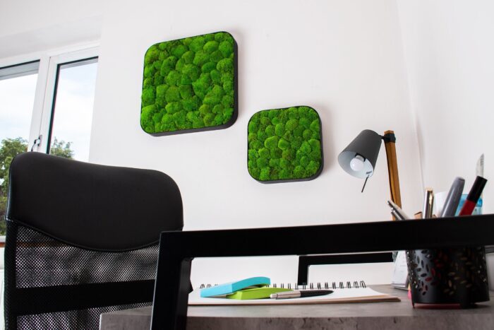 Christmas Sale | Moss Edge 30cm Wall Art Decor 100% Real, Naturally Preserved No Maintenance Required
