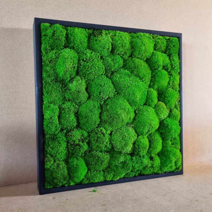 Christmas Sale | Moss Square 35cm Wall Art 100% Real, Naturally Preserved No Maintenance Required